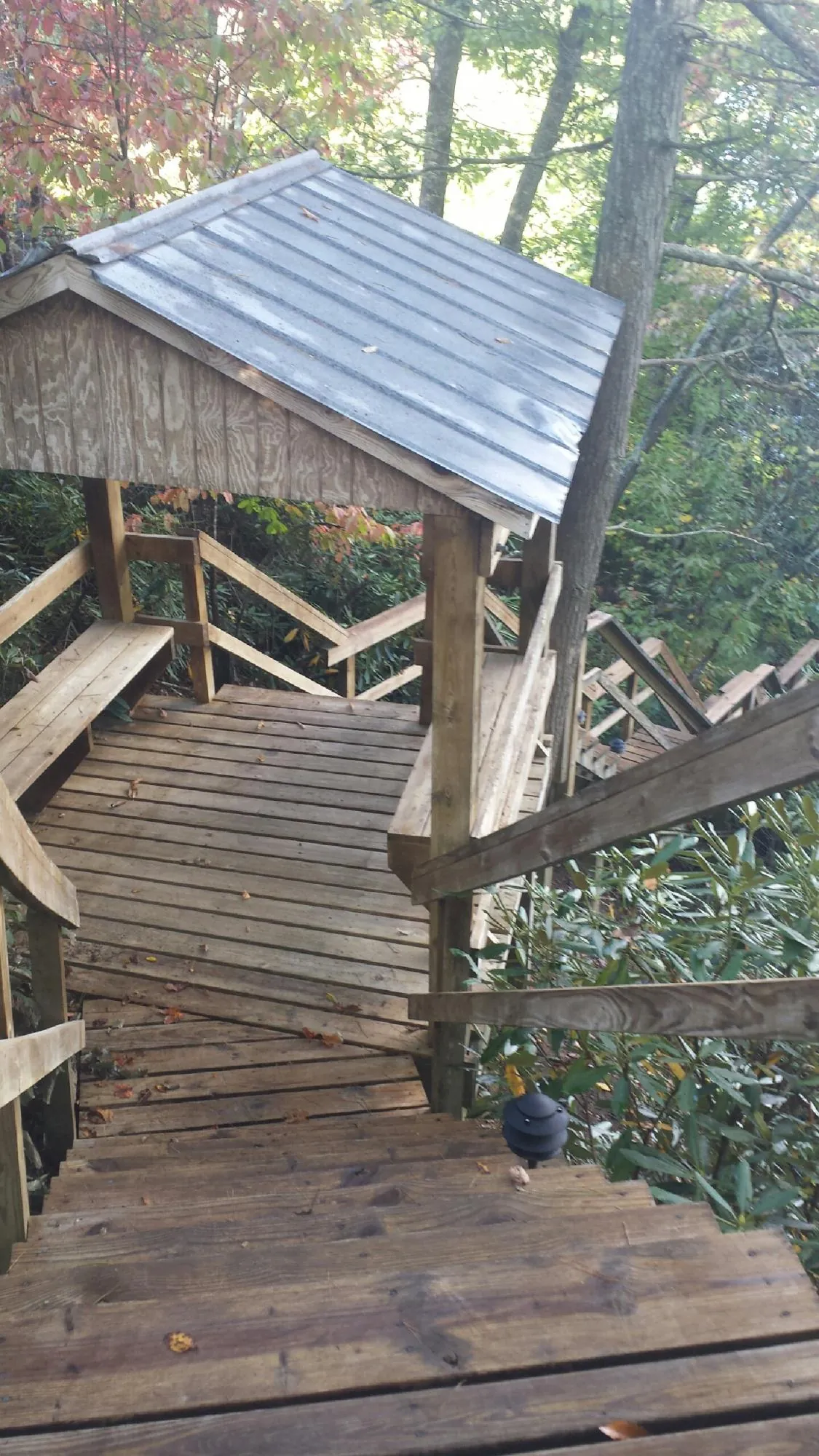 Metal roofed shelter over wooden steps on a wooded walkway — Skylight Repair & Installation work by our crew in Wilderville
