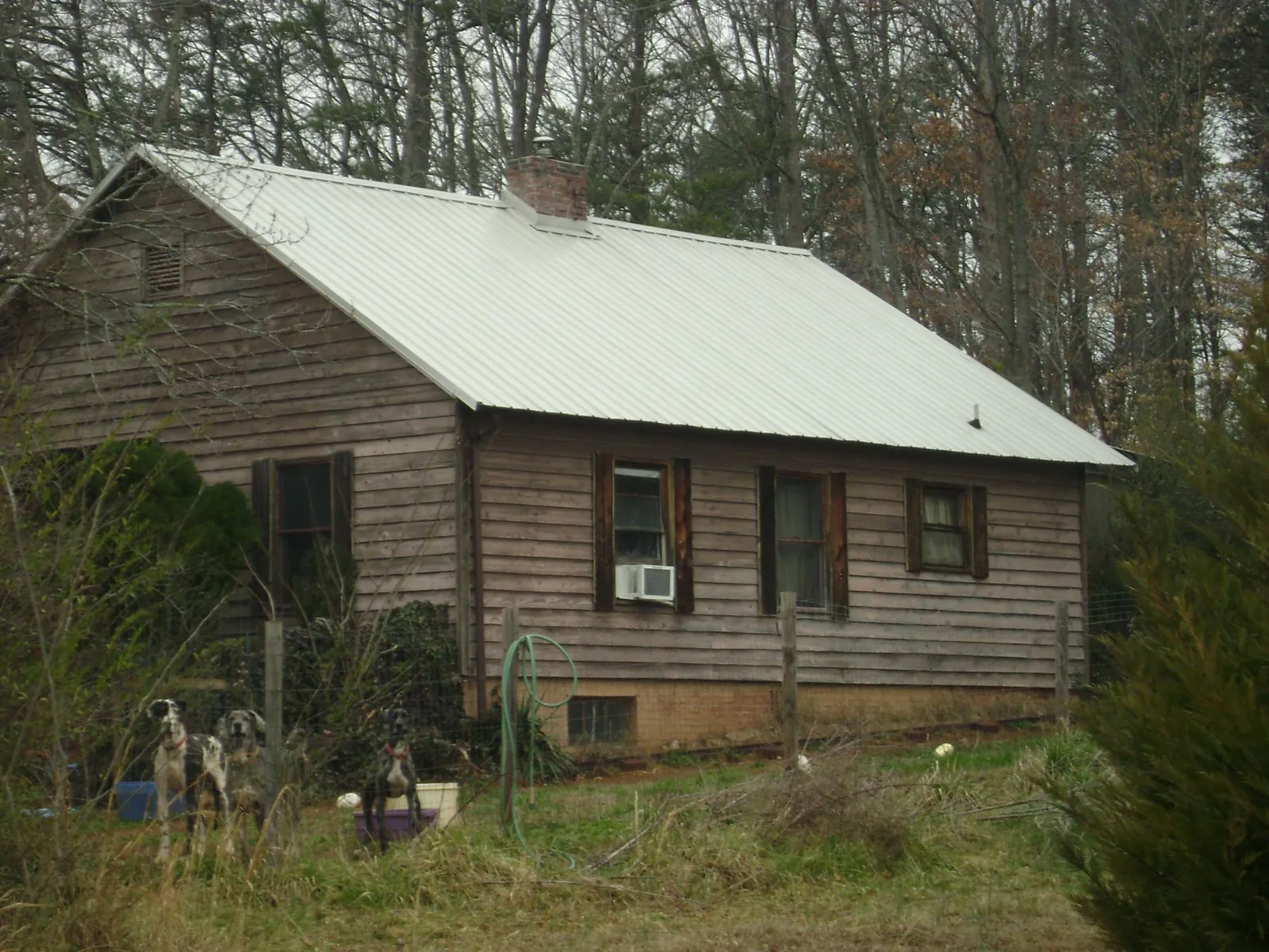 White metal roof on an old wood sided farmhouse, from a Metal Roof Installation job in Wilderville